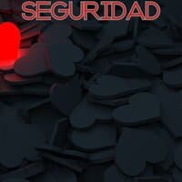 Seguridad