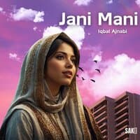 Jani Mani