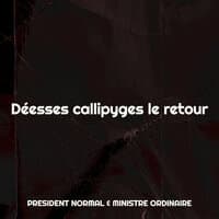 Déesses callipyges le retour