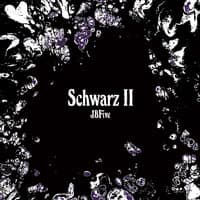 Schwarz II