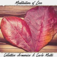 Meditation of Love