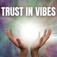 Trust in Vibes