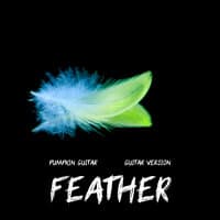 Feather