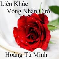 Liên Khúc Vòng Nhẫn Cưới