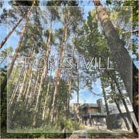 ForestVill