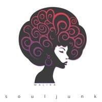 Soul Junk