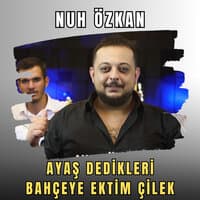 Ayaş Dedikleri / Bahçeye Ektim Çilek