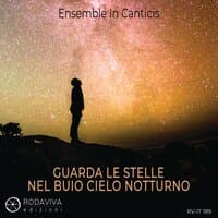 GUARDA LE STELLE NEL BUIO CIELO NOTTURNO