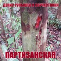 Партизанская