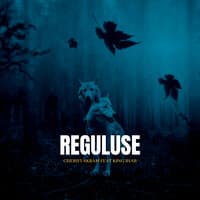 Reguluse