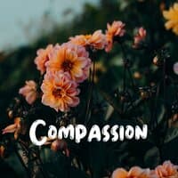 Compassion