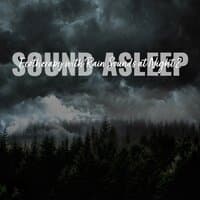 Sound Asleep: Ecotherapy with Rain Sounds at Night 2