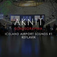 SONUSGRAPHIA / ICELAND AIRPORT SOUNDS #1(KEFLAVIK)