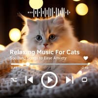 Relaxing Music For Cats - Soothing Songs to Ease Anxiety