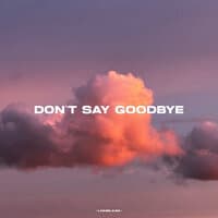 DON'T SAY GOODBYE