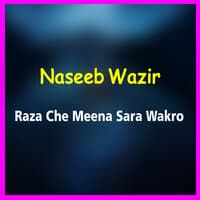 Raza Che Meena Sara Wakro