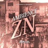 Ambience Zn