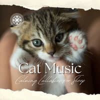 Cat Music - Calming Lullabies for Sleep