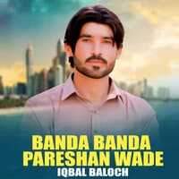 Banda Banda Pareshan Wade