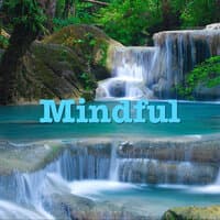 Mindful