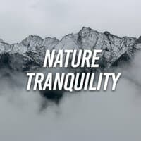 Nature Tranquility