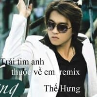 Trái tim anh thuộc về em remix