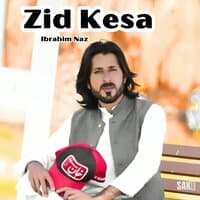 Zid Kesa