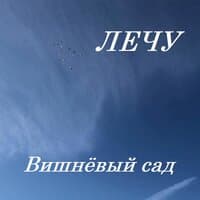 Лечу