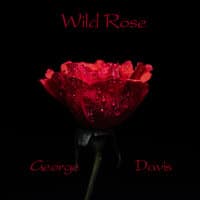 Wild Rose