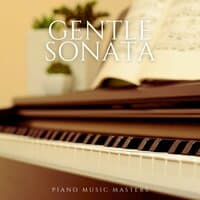 Gentle Sonata: Instrumental Piano Melodies