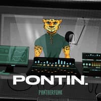 Pontin