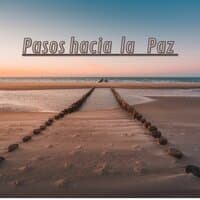 Pasos hacia la paz