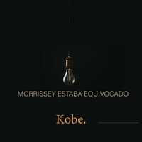 Morrissey Estaba Equivocado