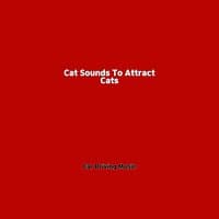 Cat Sounds To Attract Cats