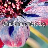 59 Mind Calming Sounds For Sleep