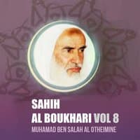 Sahih Al Boukhari Vol 8