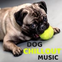 Dog Chillout Music – Calming Songs for Dogs with Relaxing Nature Sounds for Deep Sleep