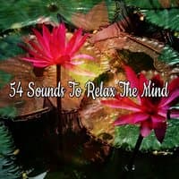 54 Sounds To Relax The Mind