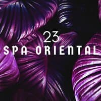 23 Spa Oriental - Relájese y Renuévese, de Pies a Cabeza, Música de Serenidad Absoluta para el Spa y Terapias de Relajación y Tratamientos Holístico, Sonidos de la Naturaleza