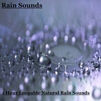 1 Hour Loopable Natural Rain Sounds