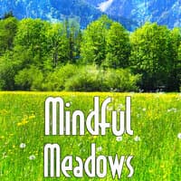 Mindful Meadows