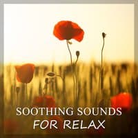 Soothing Sounds for Relax – Sounds of Nature & Ocean Waves for Relaxation, Healing New Age Music, Total Rest