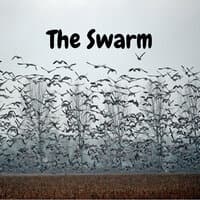 The Swarm