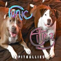 Pitbullies