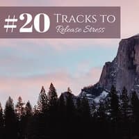 #20 Tracks to Release Stress