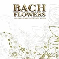 Bach Flowers