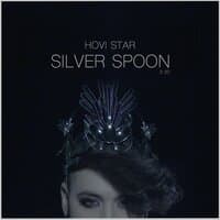 Silver Spoon