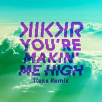 You're Makin' Me High