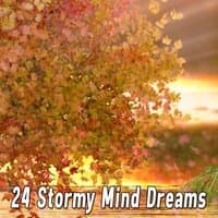 24 Stormy Mind Dreams