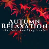 Autumn Relaxation: Absolute Soothing Music, Relaxing Sleep Music, Nature Sounds, Meditation & Yoga Music